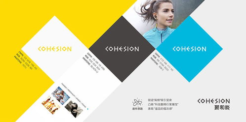 东莞企业形象设计与网络技术服务的融合策略